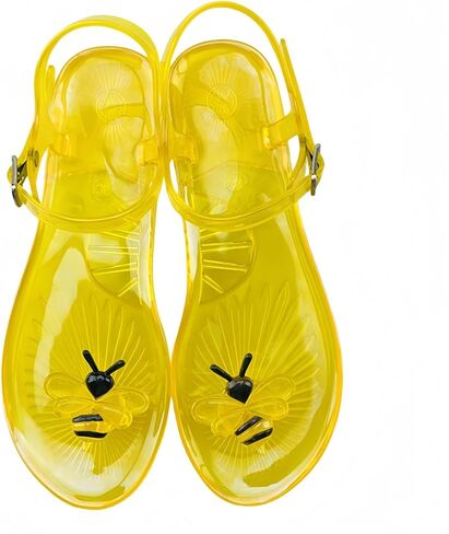 Women's Colourful Jelly Sandals with Fruit Rose Lips Design Jelly Flat Strappy Casual Sandals T-Strap Jellies Slippers for Summer Beach in Saudi Arabia
