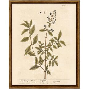 VIYYIEA Framed Boho Wall Art with Holder Minimalist Botanical Print Canvas Wall Art Pictures for Rustic Vintage Farmhouse Home Kitchen Wall Decor 8x10in, Privet in Saudi Arabia
