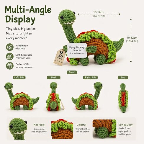 Positive Dinosaur Crochet Decor Self Care Gift with Warm Card for Friend Family Thank You Gifts for Teacher Coworkers (Stegosaurus) in Saudi Arabia