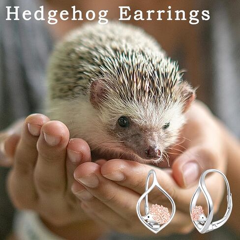 Cute Hedgehog Earrings for Women - 925 Sterling Silver Animal Leverback Earrings Dainty Hedgehog Gifts Jewelry for Birthday Hypoallergenic for Party for Women in Saudi Arabia