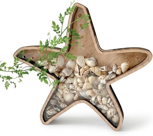 Seashell Holder, Sea Shell Holder Display Stand for Starfish and Beach Treasures,Compact Showcase for Coastal Decor Collectibles in Saudi Arabia