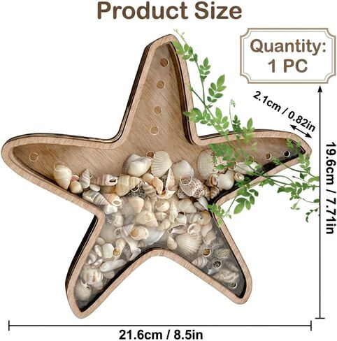 Seashell Holder, Sea Shell Holder Display Stand for Starfish and Beach Treasures,Compact Showcase for Coastal Decor Collectibles in Saudi Arabia
