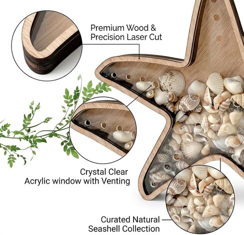 Seashell Holder, Sea Shell Holder Display Stand for Starfish and Beach Treasures,Compact Showcase for Coastal Decor Collectibles in Saudi Arabia