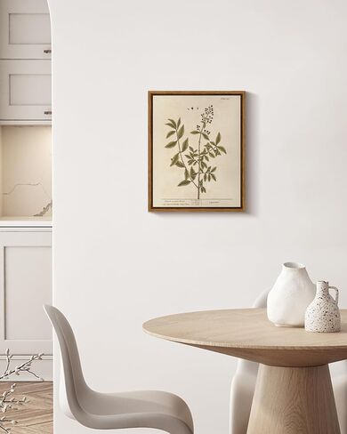 VIYYIEA Framed Boho Wall Art with Holder Minimalist Botanical Print Canvas Wall Art Pictures for Rustic Vintage Farmhouse Home Kitchen Wall Decor 8x10in, Privet in Saudi Arabia