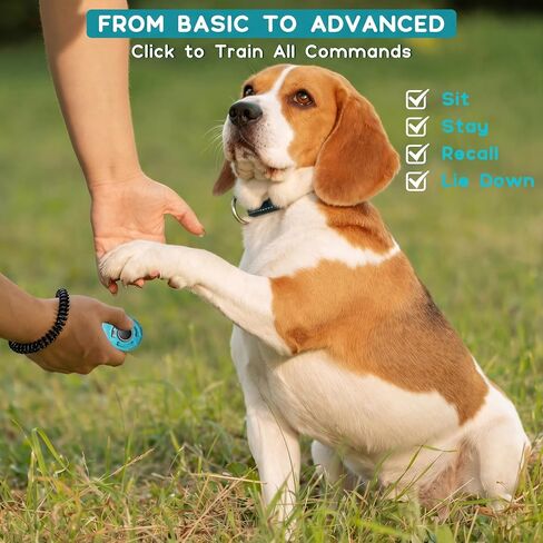 Pet Training Clicker with Wrist Strap - Dog Training Clickers (New Black + Blue) in Kuwait