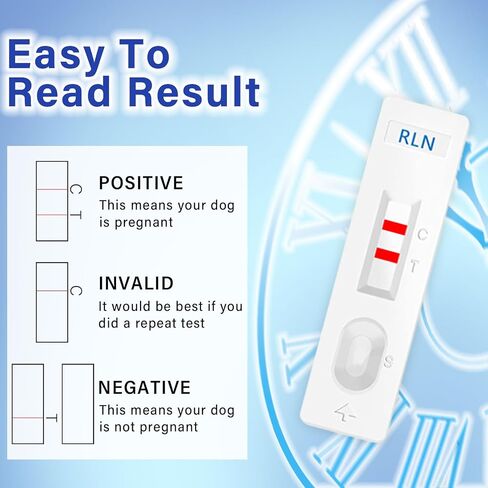 Dog Pregnancy Test Kit, Early Pregnancy Test, Fast and Accurate Home Testing, Results Within 15 Minutes in Kuwait
