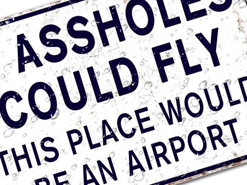 Funny Signs Man Cave Decor Garage Home Bar Metal Decorations, If Assholes Could Fly This Place Would Be An Airport 12" x 8" in Saudi Arabia