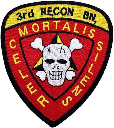 3rd Recon Bn Patch – Plastic Backing in Kuwait