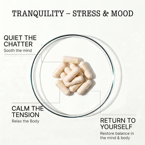 Zenium Stress Relief Supplement Supports Mood & Mental Focus - Feel Calm & Relaxed - Eases Tension & Nervousness - Ashwagandha, Magnesium & L-Theanine - Sarpagandha Inspired - 60 Capsules in Saudi Arabia