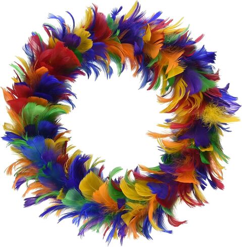 Feather Wreath (rainbow) Party Accessory  (1 count) in Kuwait