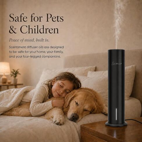 Scentiment Air 2 Diffuser (No Battery) – Cold Air Diffuser for Essential Oils | Covers Up to 1,000 Sq Ft | Waterless, Heat-Free Aromatherapy | WiFi & Bluetooth Smart Control (Black) in Saudi Arabia