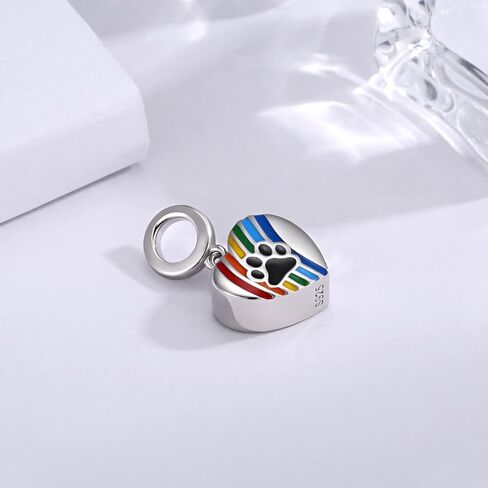 Sterling Silver Cremation Urn Charms for Pet Ashes Bead Rainbow Bridge Dog Memorial Jewelry Gifts for Women in Saudi Arabia