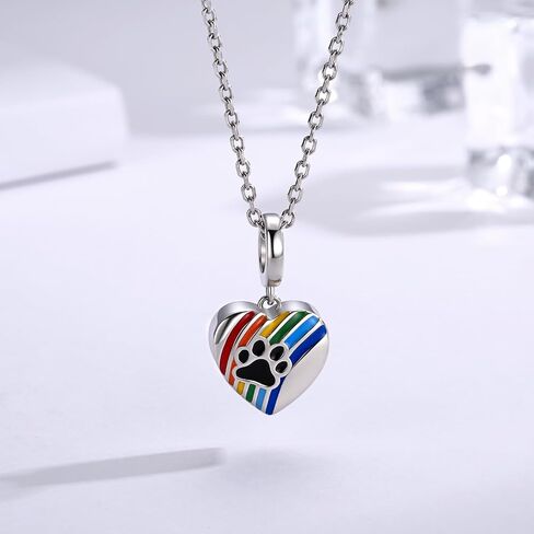 Sterling Silver Cremation Urn Charms for Pet Ashes Bead Rainbow Bridge Dog Memorial Jewelry Gifts for Women in Saudi Arabia