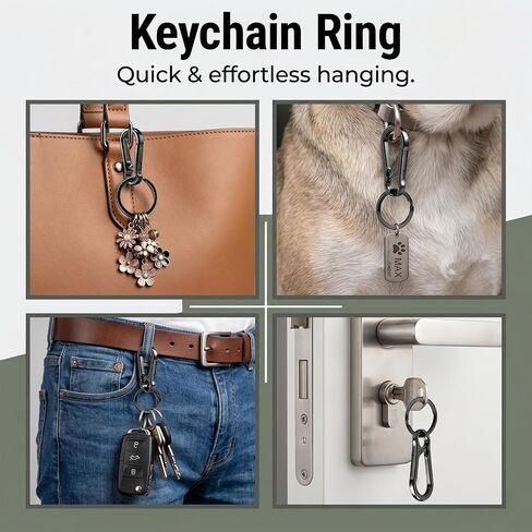 14 Pcs Metal Carabiner Keychain, Sturdy Small Keyring Clip for Men Women, Keys Holder Organizer for Purse Charms Hook in Saudi Arabia