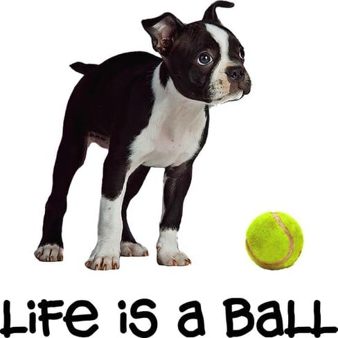قبعة بيسبول CafePress Boston Terrier Life قابلة للتعديل in Kuwait