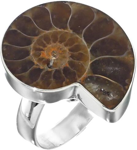 FifiRose Size 8 Adjustable Madagascar Ammonite Fossil 925 Sterling Silver Ring p73614 in Saudi Arabia