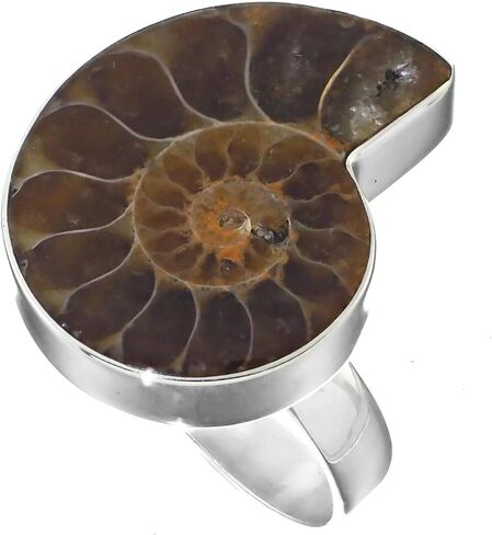 FifiRose Size 8 Adjustable Madagascar Ammonite Fossil 925 Sterling Silver Ring p73614 in Saudi Arabia