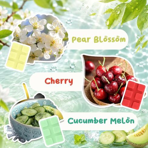 SCENTORINI Wax Melts, Scented Wax Cubes for Wax Warmers, Summer Scent Wax Melts, Coconut Beach, Pear Blossom, Cherry, Cucumber Melon, Pineapple, Energizing Citrus, 6 Pack in Saudi Arabia
