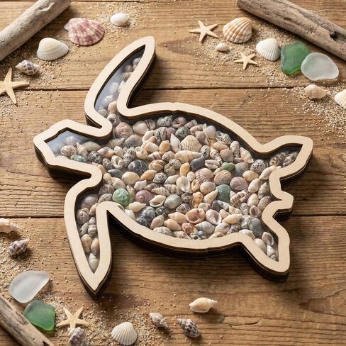 Turtle Shell Collection Box - Wooden Sea Handcrafted Coastal Decor Display Case with Clear Acrylic Panel for Seashells Sea Glass Beach House Decor Memory Keepsake & Vacation Gift in Saudi Arabia