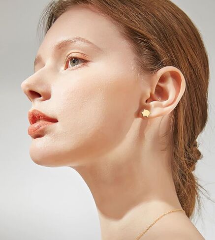 Simple Pig Stainless Steel Stud Earrings for Women Teen Girls Cartilage Hypoallergenic Tiny Small Studs Earring Minimalist Jewelry in Kuwait