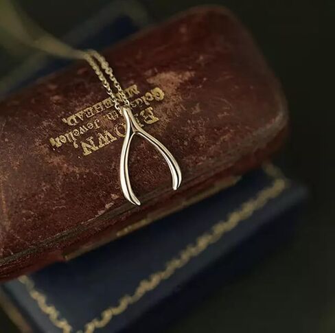 LS Artisan - Wishbone Pendant Necklace - 14k Gold Plated Pendant Necklaces - 925 Sterling Silver - 2pc Set includes chain and Wishbone Gold Necklace for Women and Teens - Jewelry Gift in Saudi Arabia
