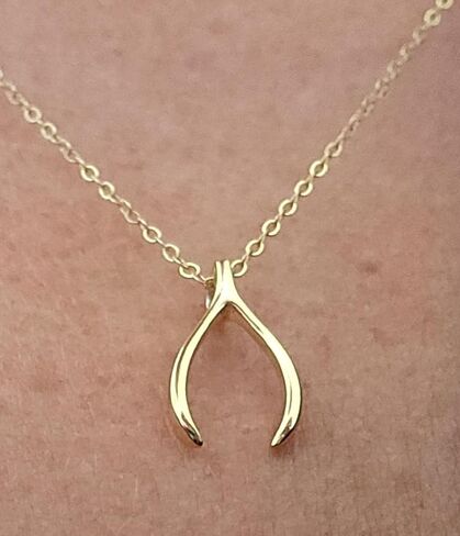 LS Artisan - Wishbone Pendant Necklace - 14k Gold Plated Pendant Necklaces - 925 Sterling Silver - 2pc Set includes chain and Wishbone Gold Necklace for Women and Teens - Jewelry Gift in Saudi Arabia