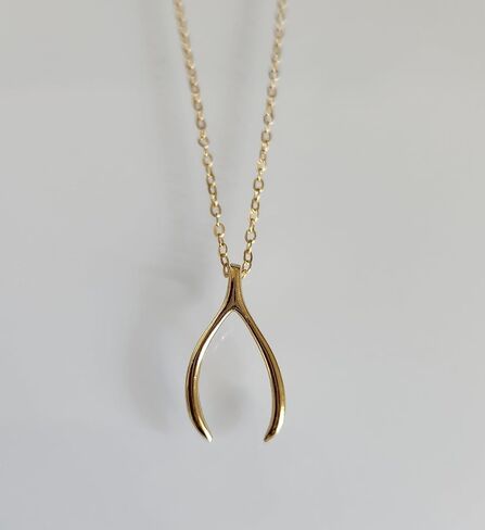 LS Artisan - Wishbone Pendant Necklace - 14k Gold Plated Pendant Necklaces - 925 Sterling Silver - 2pc Set includes chain and Wishbone Gold Necklace for Women and Teens - Jewelry Gift in Saudi Arabia