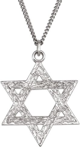 FB JEWELS 925 فضة استرليني 25.25x22.75 ملم قلادة نجمة داود 18 بوصة in Saudi Arabia