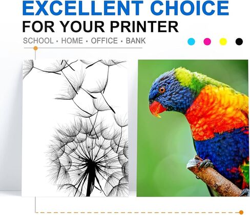 خراطيش حبر 232XL عالية السعة مُعاد تصنيعها لخرطوشة الحبر Epson 232 232XL تعمل مع Epson XP-4200، XP-4205، Workforce WF-2930، WF-2950 (أسود، سماوي، أرجواني، أصفر) in Kuwait