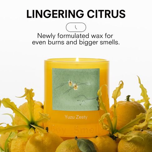 Boy Smells Yuzu Zesty Scented Candle – 8.5oz – Yuzu Zest, Ylang Ylang & Musk – Bright Citrus – Soy Wax Candle in Saudi Arabia