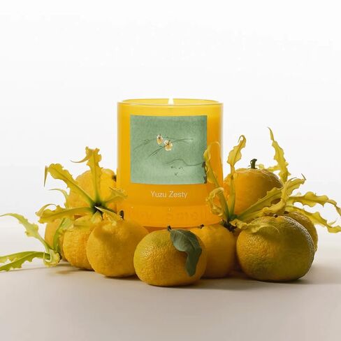 Boy Smells Yuzu Zesty Scented Candle – 8.5oz – Yuzu Zest, Ylang Ylang & Musk – Bright Citrus – Soy Wax Candle in Saudi Arabia
