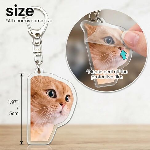 8Pcs Cute Cat Meme Keychains, Funny Two Cats Talking Acrylic Keyring Set, Kawaii Animal Charm Keychain for Women, Kids, Friends - Perfect Birthday & Holiday Gift in Saudi Arabia