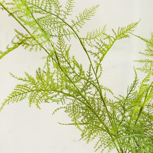 3Pcs Artificial Radix Asparagi Fern Bush Branches 38.6" Long Stems Plastic Realistic Green Faux Asparagus Fern Fake Plant Greenery Stems Plants for Indoor Outdoor Home Office Wedding Decor in Kuwait