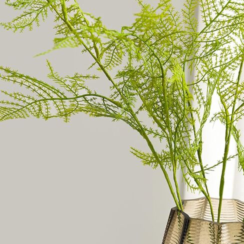 3Pcs Artificial Radix Asparagi Fern Bush Branches 38.6" Long Stems Plastic Realistic Green Faux Asparagus Fern Fake Plant Greenery Stems Plants for Indoor Outdoor Home Office Wedding Decor in Kuwait
