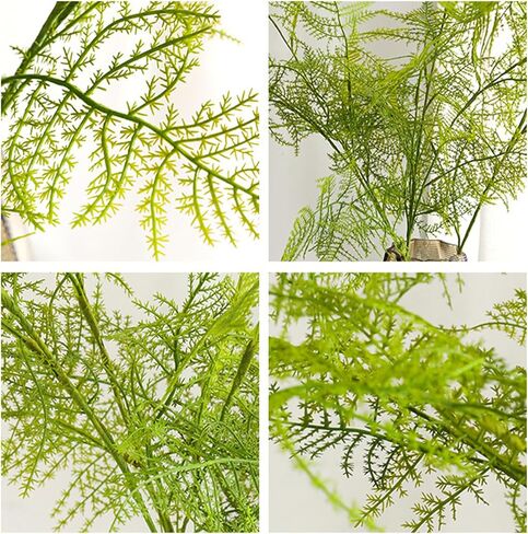 3Pcs Artificial Radix Asparagi Fern Bush Branches 38.6" Long Stems Plastic Realistic Green Faux Asparagus Fern Fake Plant Greenery Stems Plants for Indoor Outdoor Home Office Wedding Decor in Kuwait