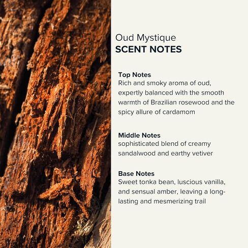 Anthology Woody Amber Perfume Oil roll on 0.3oz 9 ML | Oud Mystique | travel Perfume rollerball in Saudi Arabia