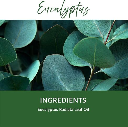 Essence Nasal Diffuser Ring | Solid Scents Essential Oils | Aromatherapy Nose Ring | Personal Scent Clip for Travel, Work & Everyday Use | Made in USA | Eucalyptus | 5 Pack in Saudi Arabia
