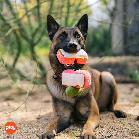 P.L.A.Y. Cute Plush Dog Toys - P.L.A.Y. Montreal Munchies Food Themed Durable Squeaker Toy, Great for Puppies & Small, Medium, Large Dogs - Machine Washable, Recycled Materials (Poutine) in Kuwait