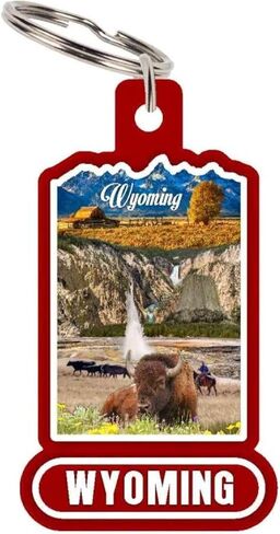 Saddle Mountain Souvenir Wyoming Custom Cut State Keychain in Saudi Arabia