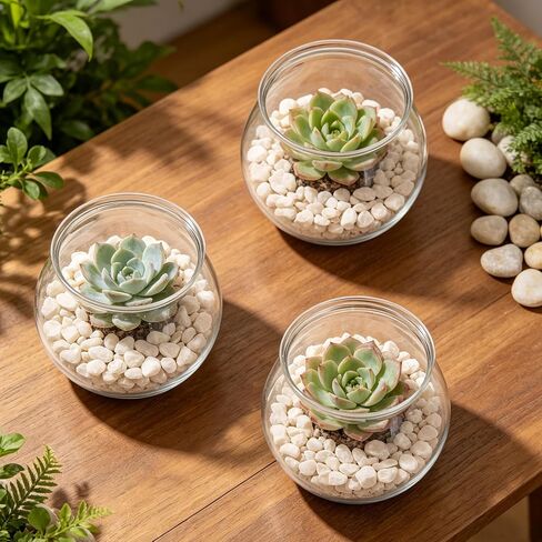8 Pcs Plastic Bubble Vases for Centerpieces, Clear Bowl Vase Bulk Fish Bowl for Drinks Heavy Duty Round Vase for Wedding Party Home Table Centerpieces Decor in Saudi Arabia