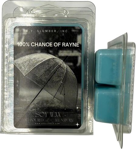 100% Chance of Rayne Wax Melt, Rain Storm Scent, Thunderstorm Scent, Hand Poured Soy Wax, 2.5 Oz, All Natural, Flameless Home Fragrance, Rain Shower Fragrance in Saudi Arabia