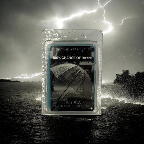 100% Chance of Rayne Wax Melt, Rain Storm Scent, Thunderstorm Scent, Hand Poured Soy Wax, 2.5 Oz, All Natural, Flameless Home Fragrance, Rain Shower Fragrance in Saudi Arabia