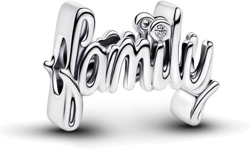 Bead Dangle Charm 925 Sterling Silver Charms Fit Women Bracelet And Necklaces Bead Pendant Jewelry Gifts For Family Friends in Saudi Arabia