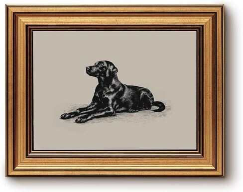 bzstyleart فن جدار عتيق مؤطر بالذهب، صورة كلب ديكور جداري صورة رسم طبيعي، يتميز برسم كلب لابرادور أسود كلاسيكي في ديكور مكتب غرفة النوم على طراز مزرعة ريفية 8x10in in Kuwait