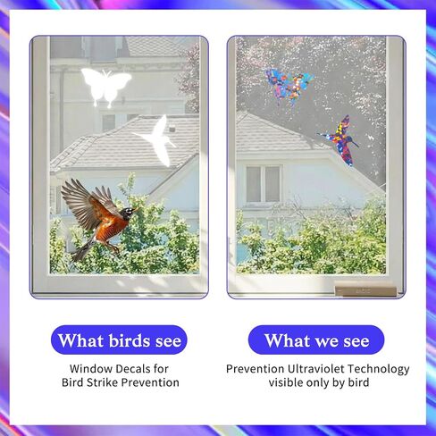 36pcs Window Decals for Anti-Collision Window Stickers Avoid Bird Strikes Windows Clings Rainbow Suncatcher Stickers for Glass and Doors Hummingbird Butterflies Leaf Feather Design Reusable in Kuwait