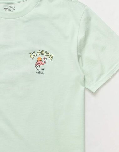 Billabong Arch Florida T-Shirt - Seaglass in Kuwait