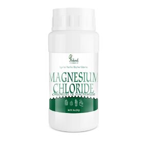 10oz/280g Food Grade Magnesium Chloride Powder - 100% Pure Magnesium Chloride, Non-GMO | Coagulant & Acidity Regulator for Jelly, Candy, Pickled Food | Dairy Free, Gluten Free, Sugar Free in Saudi Arabia