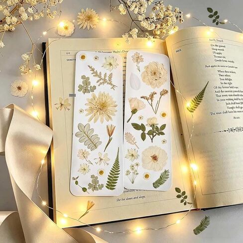 Yuboo 98pcs أبيض مجفف الزهور المجففة للحرف اليدوية ، والهدايا ليوم الأم ، وأوراق الأزهار المضغوطة مع الملقط ، والزهور المجففة الطبيعية لقوالب الراتنجات DIY قصاصات الكتب شمعة in Kuwait