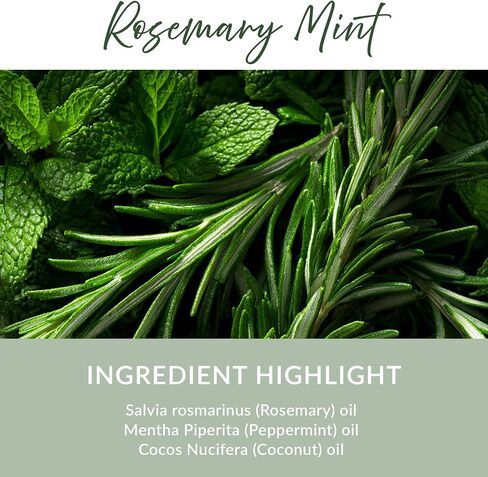 Essence Refresh Kit | Solid Scents Essential Oils | Aromatherapy Nasal Diffuser | Personal Scent Clip for Travel, Work & Everyday Use | Made in USA | Rosemary Mint | Black Pod in Saudi Arabia