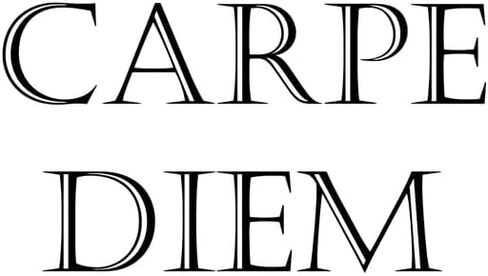 قبعة CafePress Carpe Diem قبعة بيسبول قابلة للتعديل in Kuwait